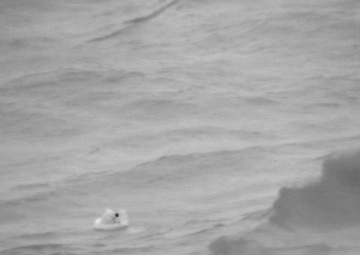 Coast Guard, partners arrive on scene to a downed aircraft