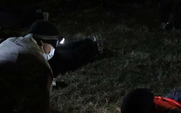 Task Force 1-28 “Black Lions” conduct EIB qualification