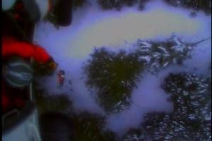 Coast Guard hoists skier mauled by bear near Haines, Alaska