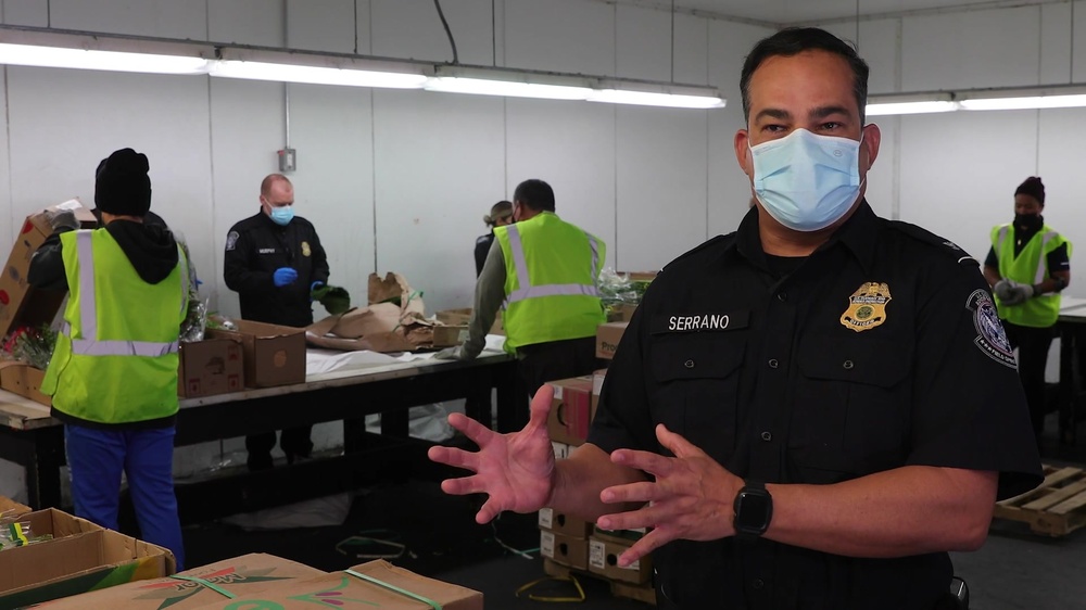 DVIDS Video Fresh Cut Flowers Inspection, Broll and Soundbites