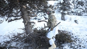 Spartans life in the Arctic during exercise