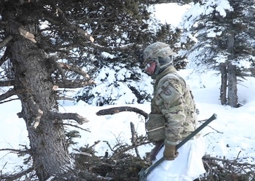 Spartans life in the Arctic during exercise