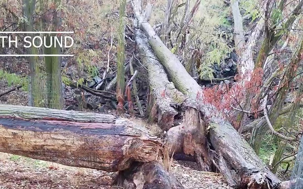 Dams et al Episode 23: Beavers at Hess Park