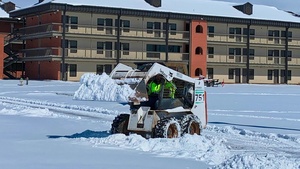 Bouncing Back from Winter Adversity