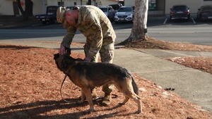 K-9 Certification