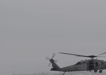 Emerald Warrior 21.1