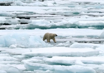 "Ask the U.S. Army Corps of Engineers!"