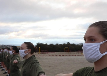 Lima Company IST (BROLL)