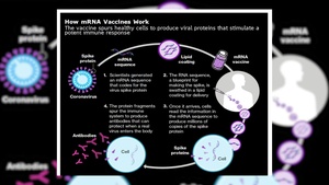 COVID-19 Vaccine Info - Maj Kim