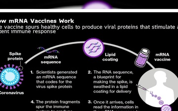 COVID-19 Vaccine Info - Maj Kim