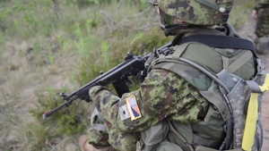 Estonia Independence Day