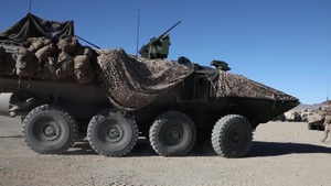 MWX 2-21: Amphibious Combat Vehicles