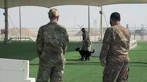 Slam10 Check-ins: The one with K9s
