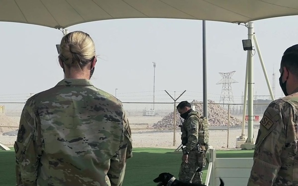 Slam10 Check-ins: The one with K9s