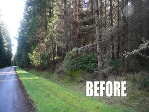 Forestry Management on Navy Bases in the Northwest