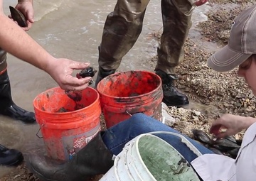 Army Corps of Engineers and Texas Parks and Wildlife Team Up to Conserve Aquatic Resources