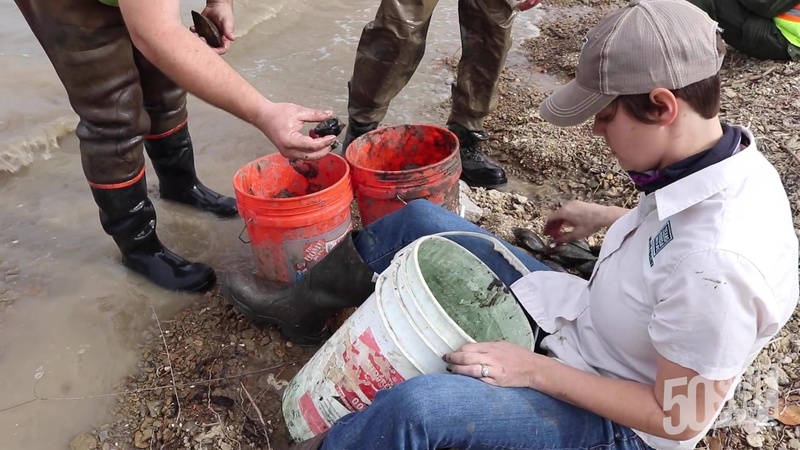 Army Corps of Engineers and Texas Parks and Wildlife Team Up to Conserve Aquatic Resources