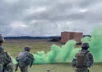 Braves Company Execute Live Fire Training