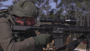 One Shot One Kill