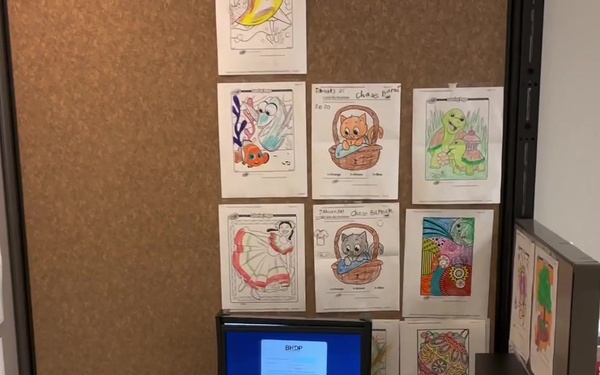 Behavioral Health - Child and Family Behavioral Health System - Welcome Video