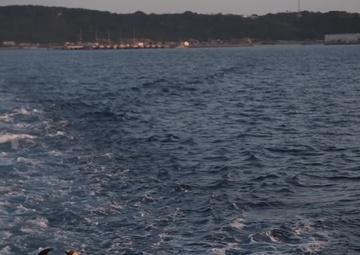 "Everything we do here is a video game."