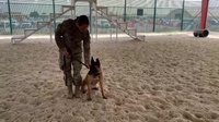 Why I Serve-SPC Murray