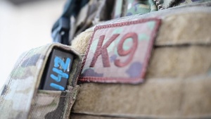 National K9 Veterans Day