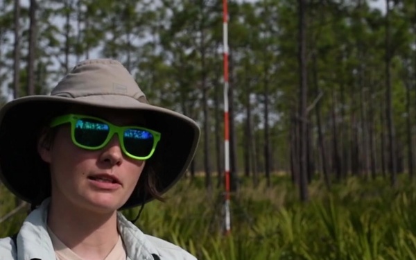 A Natural Partnership