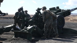 Echo Battery conducts indirect and direct fire ranges - BROLL