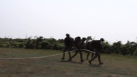 Force Reconnaissance: Special Patrol Insertion and Extraction Rigging Drills