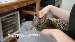 AFN Sasebo Pacific Spotlight Featuring Michaela Campbell