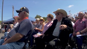 National Vietnam War Veterans Day