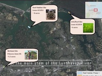 Lynnhaven ecosystem project reef habitat in full swing at river's stem