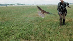 The falconer – how birds help NATO’s Baltic Air Policing mission (b-roll)