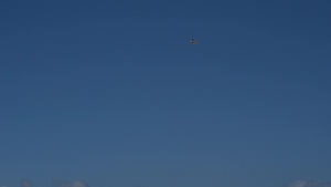 F-22 Hawaiian Raptors and F-18 Aggressor Squadron Participate in Exercise Pacific Raptor