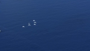 USS Theodore Roosevelt (CVN 71) and Royal Malaysian Air Force