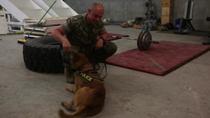 Appreciation to K-9 and their handlers
