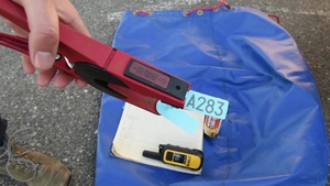 Check Out Vandenberg's Tagging of Elephant Seals!