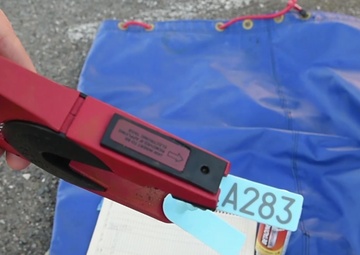 Check Out Vandenberg's Tagging of Elephant Seals!