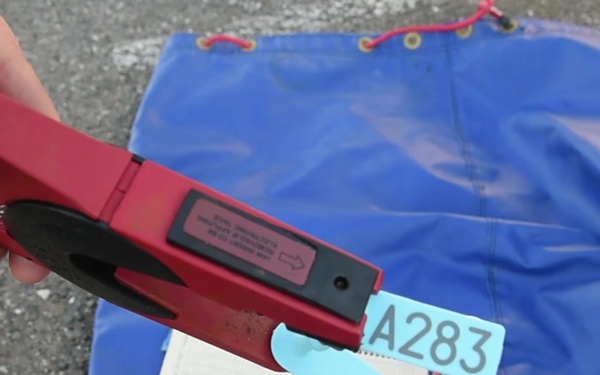 Check Out Vandenberg's Tagging of Elephant Seals!