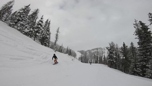 Fairchild Snow Fest 2021