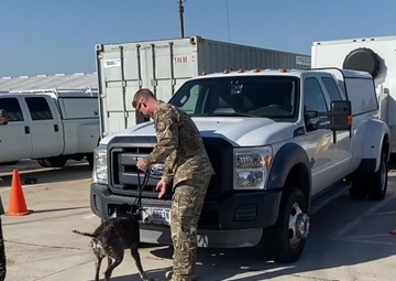 Bring your children to our work day - MSRT West