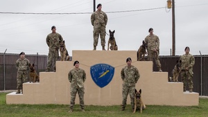 Laughlin Air Force Base Military Working Dogs in action