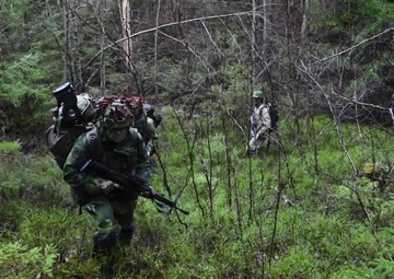 Swedish Home Guard Trains With U.S. Army Green Berets
