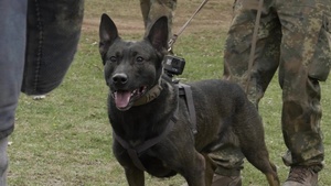 Inaugural K-9 TCCC Multinational Short Course