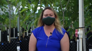 MCB Camp Blaz Native Plant Nursery