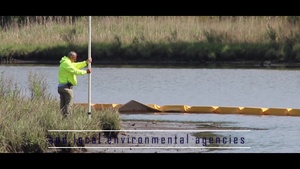 Virginia Beach wetlands gain ground in Lynnhaven River restoration efforts