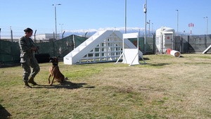 Rating in the Spotlight - MA2 Logann Parker (Military Working Dog Handler)