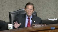 Centcom, Africom Leaders Speak to Senate Committee