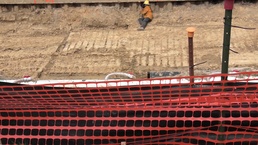 The Living Shoreline at Cherry Point